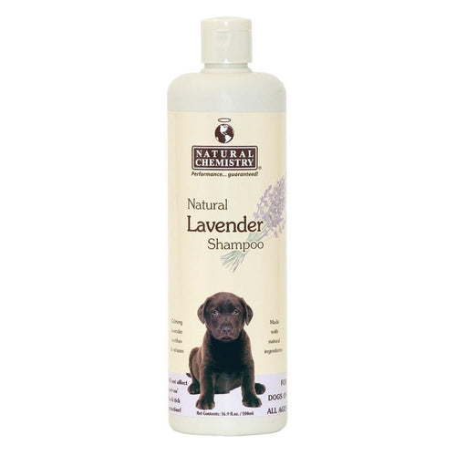 NATURAL LAVENDER SHAMPOO (16 OZ)