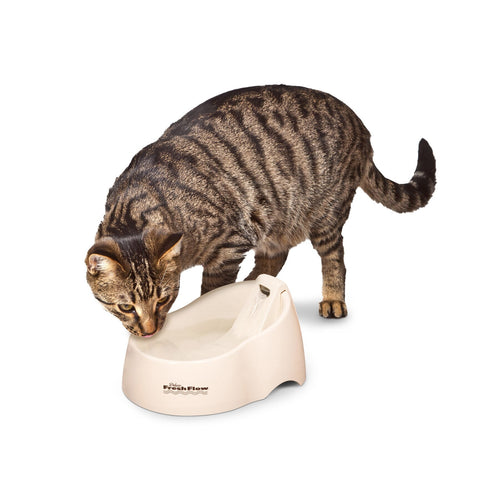 Petmate Deluxe Fresh Flow Fountain For Cats (Medium 50 Oz.)