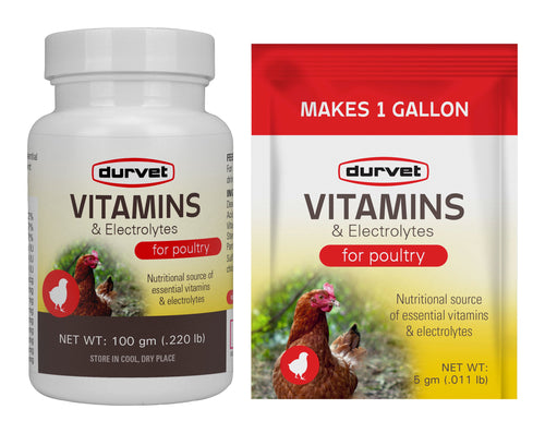 Vitamins & Electrolytes (5 gm)