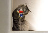 MultiPet Woody Woodpecker® Cat Toy