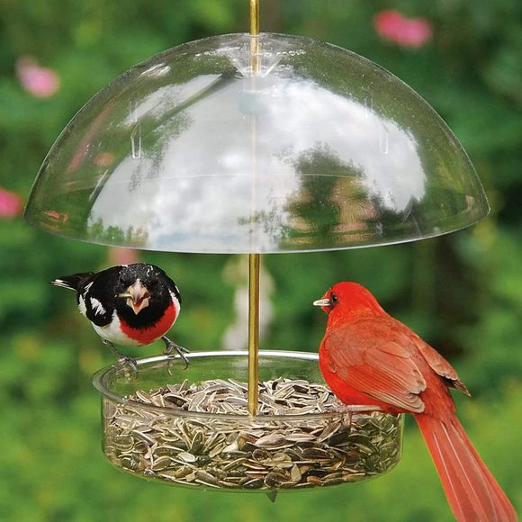 Classic Brands Droll Yankees® Seed Saver® Bird Feeder with Adjustable Dome (10 Inch)